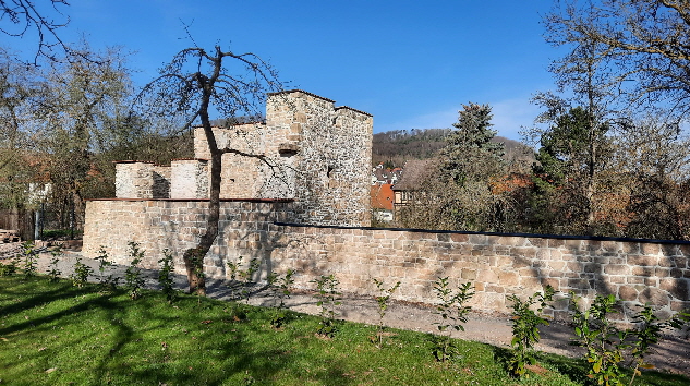 2025Zinsturm2 2025Zinsturm2