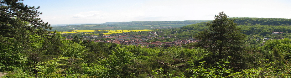 Blick von der Lwenburg auf Bleicherode